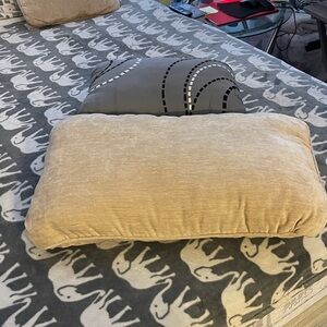 Elegant Cream Pillow